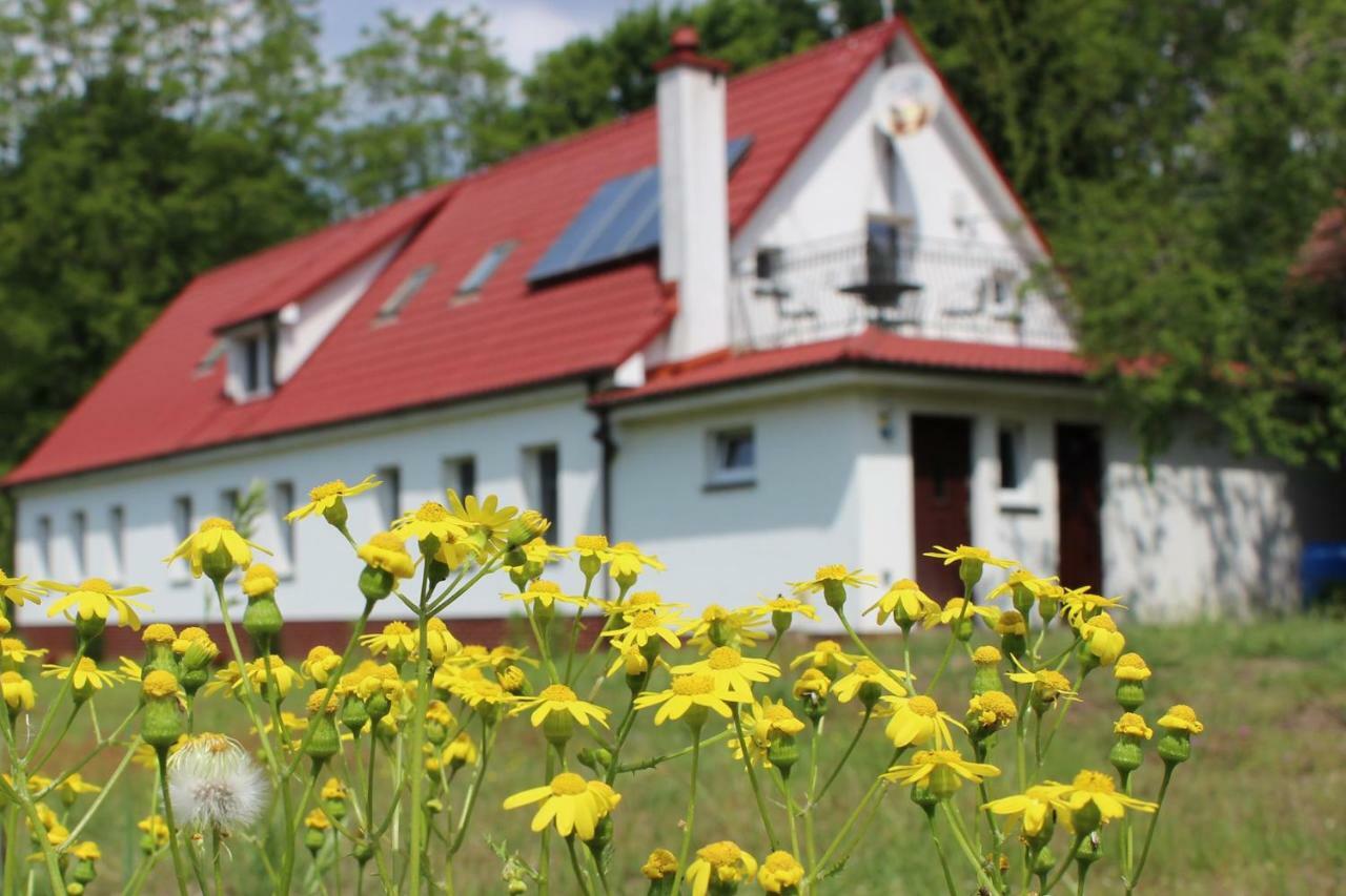 Agroturystyka Rebowo Klodawa  Exterior photo